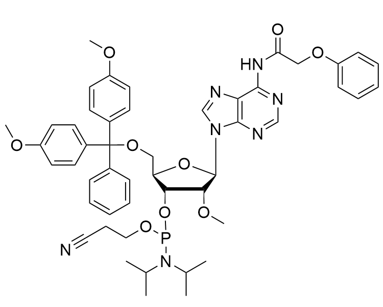2'-OMe-A(Pac)-CE-Phosphoramidite