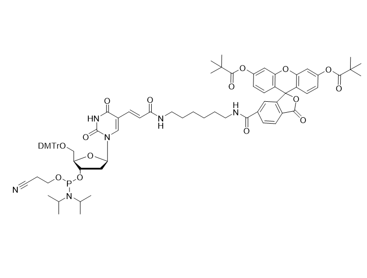 6-Fluorescein dT phosphoramidite