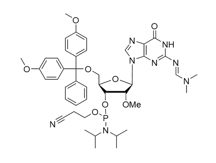 2'-OMe-G(dmf)-CE-Phosphoramidite