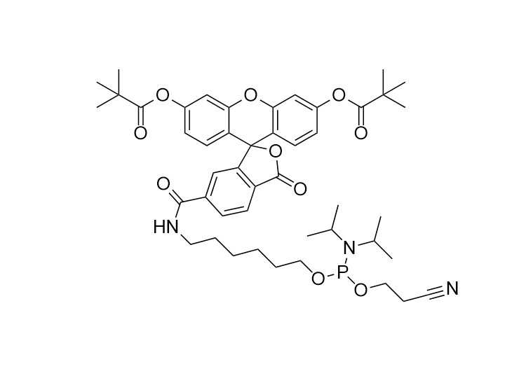 FAM Phosphoramidite