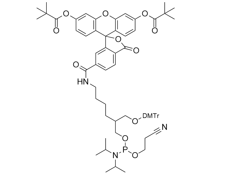 6-Fluorescein Phosphoramidite