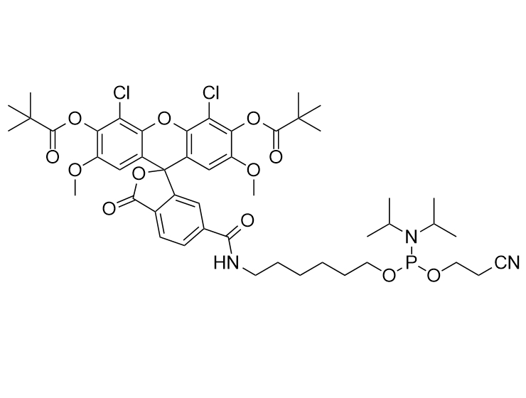 6-JOE Phosphoramidite