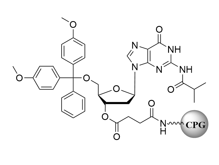 DMT-dG(ibu)-CPG