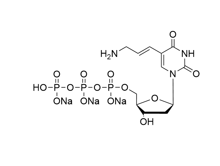 5-aa-2'-dUTP.3Na, 100mM solution